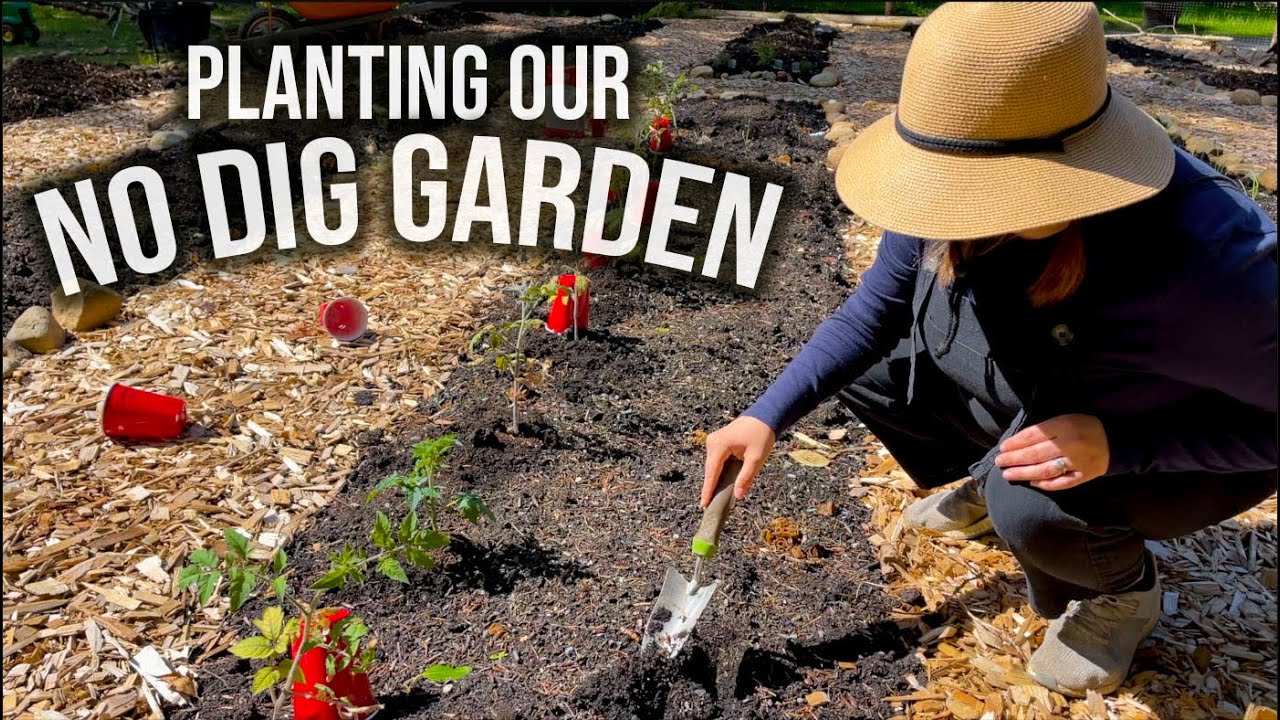 PLANTING OUR NO DIG GARDEN | TOMATOES, CORN, LOOFAH, PEAS, BEANS & MORE!