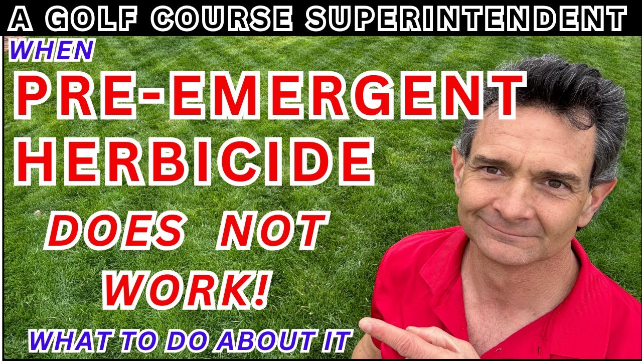 Ultimate Guide to Controlling Weeds (and Keeping Your Sanity)