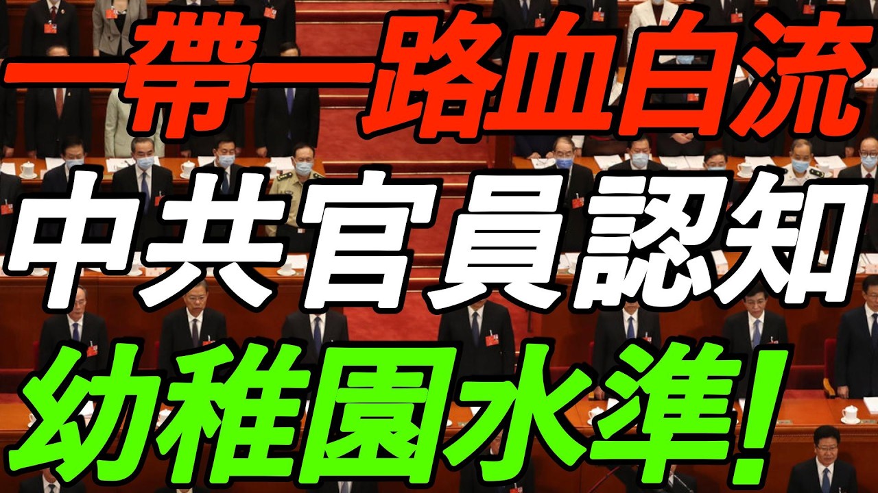 【全程高能】清华任剑涛：一带一路血白流！中共官员认知，幼儿园水平！太敢说了！