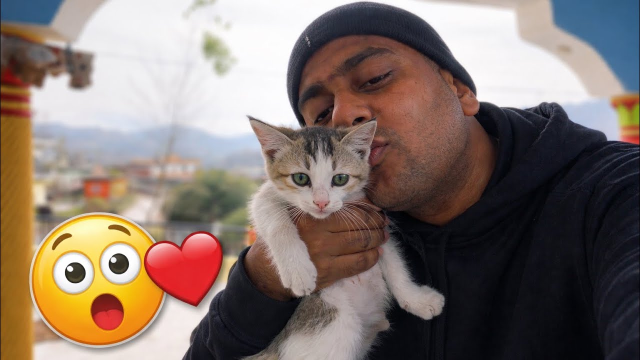 I Couldn’t Resist Kissing This Cute Kitten! 🥺❤️ | mrbiisht | Pithoragarh | village life | vlog