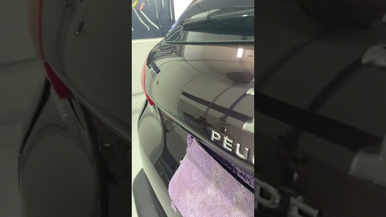 Martelinho de ouro realizado s&oacute; no talento!!#pdrbrasil #reels #youtube #talentoso #peugeot #art