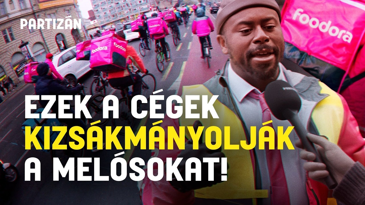 Fut&aacute;rok az algoritmus szor&iacute;t&aacute;s&aacute;ban, mi&eacute;rt nem l&eacute;p az &aacute;llam? | Riport