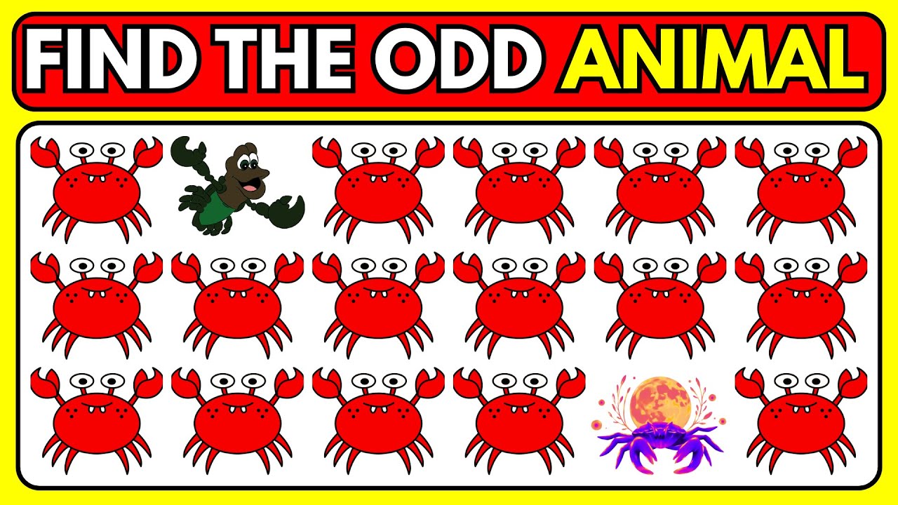 Find the ODD One Out &ndash; Animal Edition 🐺🐯 | Easy, Medium, Hard &ndash; Level 93 | Mindful Mosaic 2.0