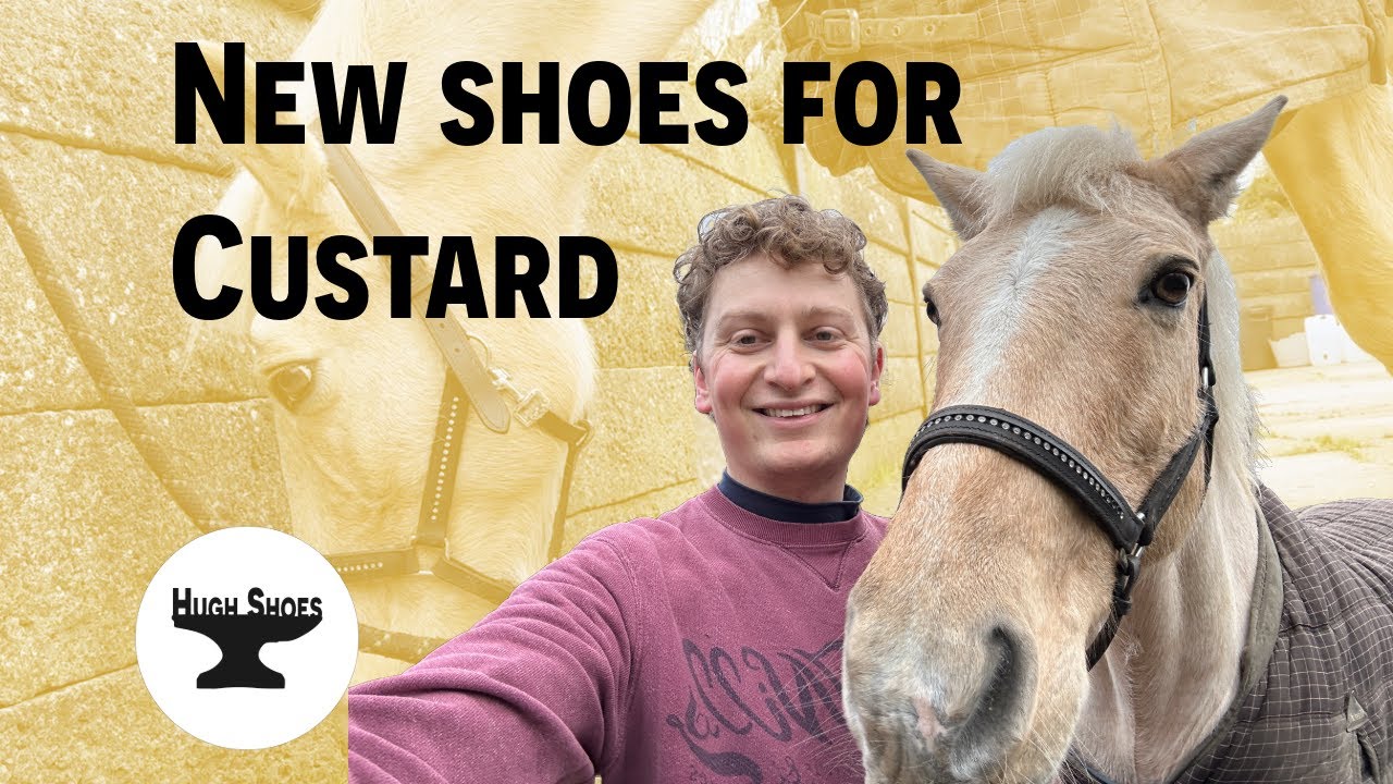 NEW shoes for Custard 