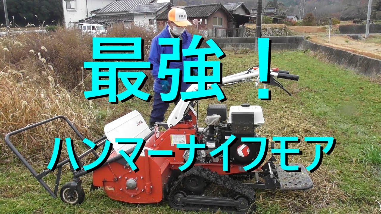 お化けススキの後のチガヤをどう刈る？