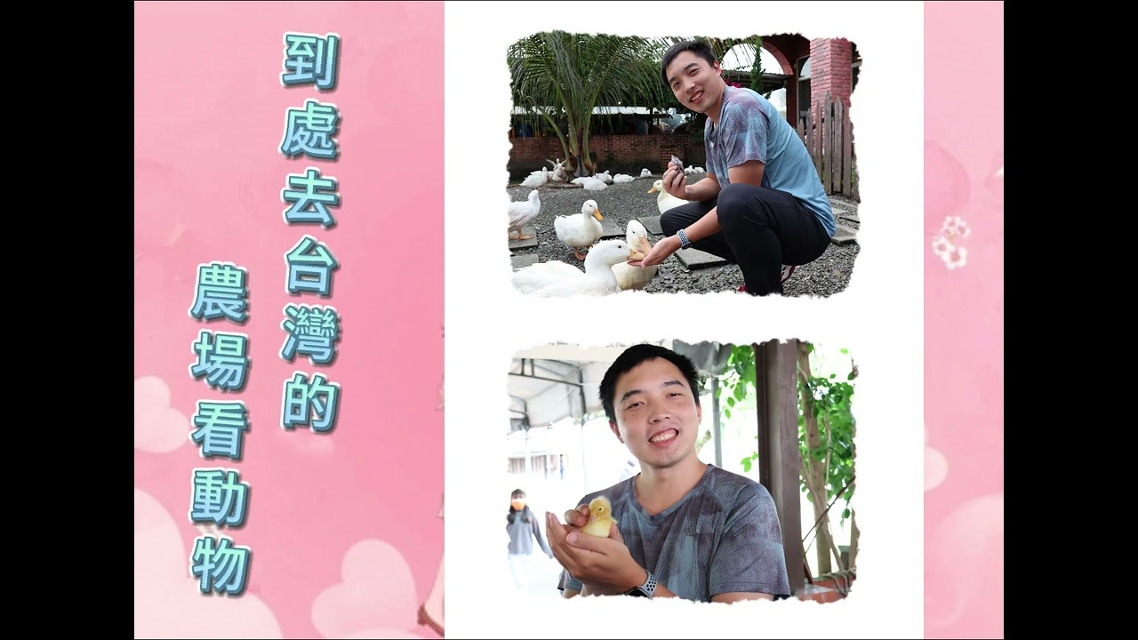 雋台&禹伶  婚禮成長影片