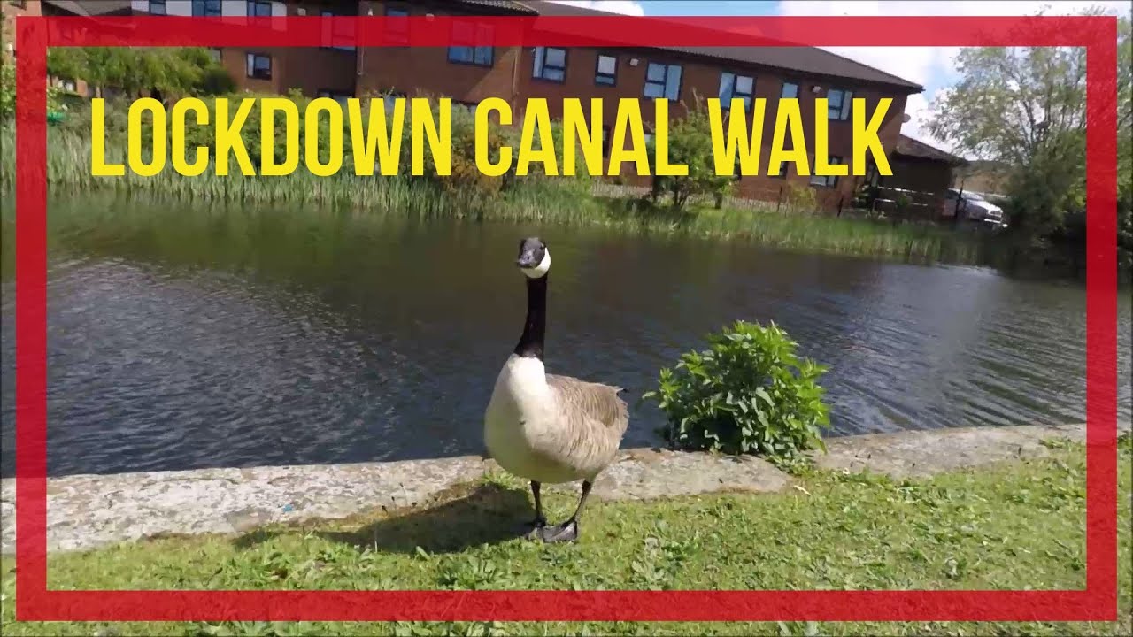 canal walk