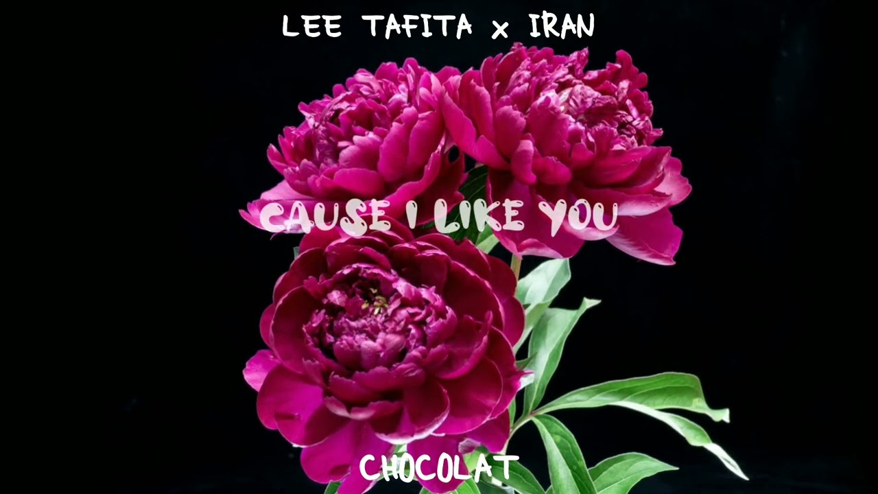 LEE TAFITA x IRAN __--__CHOCOLAT_LYRICS VIDÉO 2k26