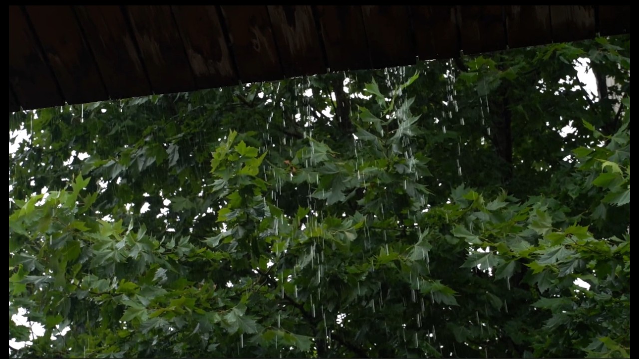 1 Hour Rain Ambience 🌧️ Relaxing Rain Sounds for Sleep, Study & Relax