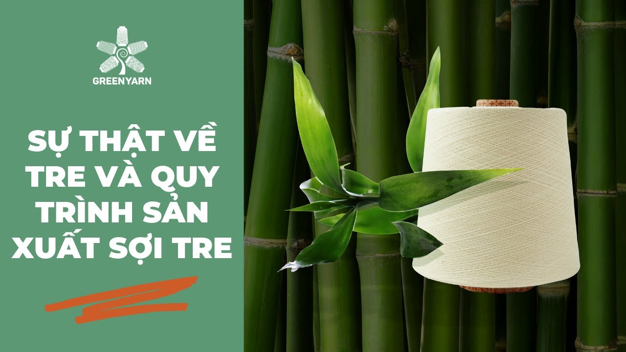 Sự thật về tre & Quy trình sản xuất sợi tre (Greenyarn Official)