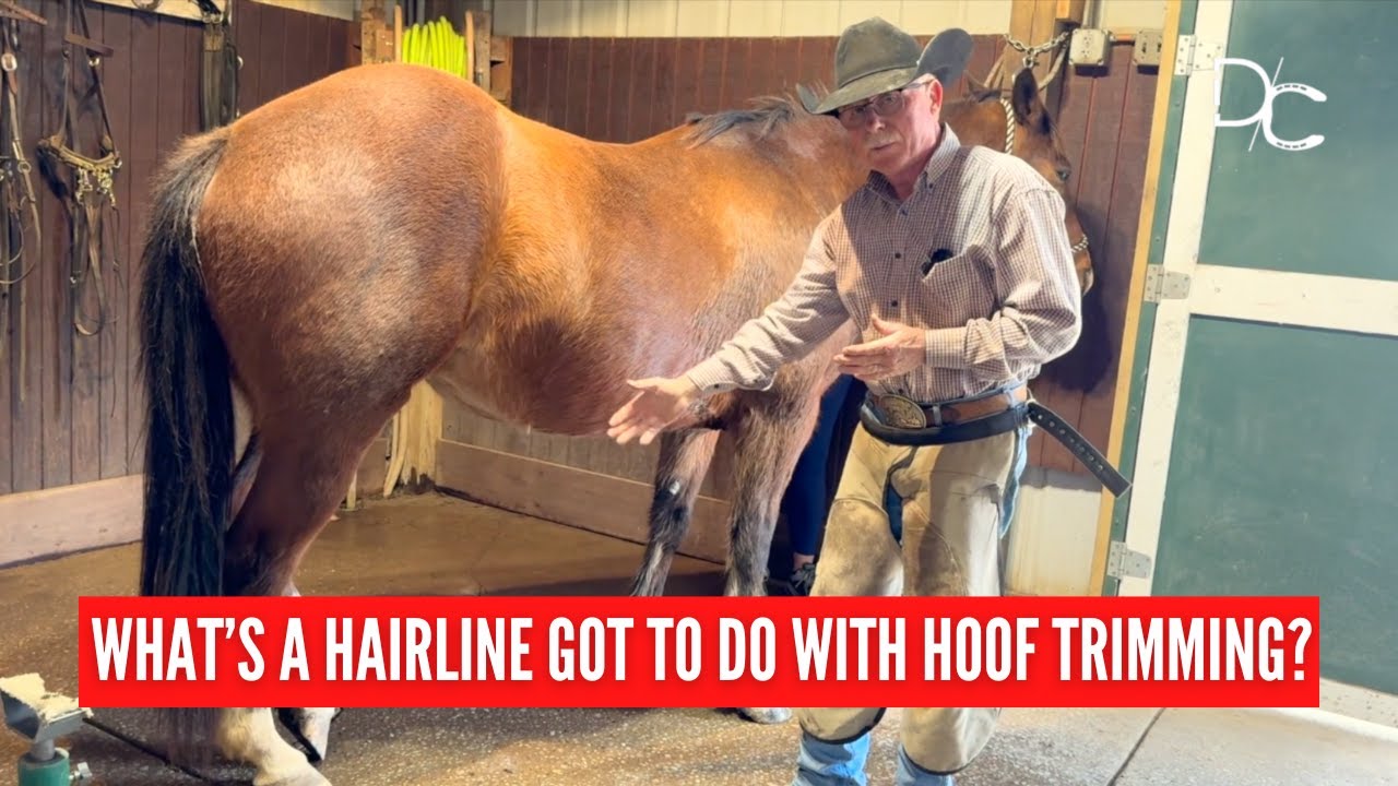 D/C How To Trim a Horse's Distorted Hooves