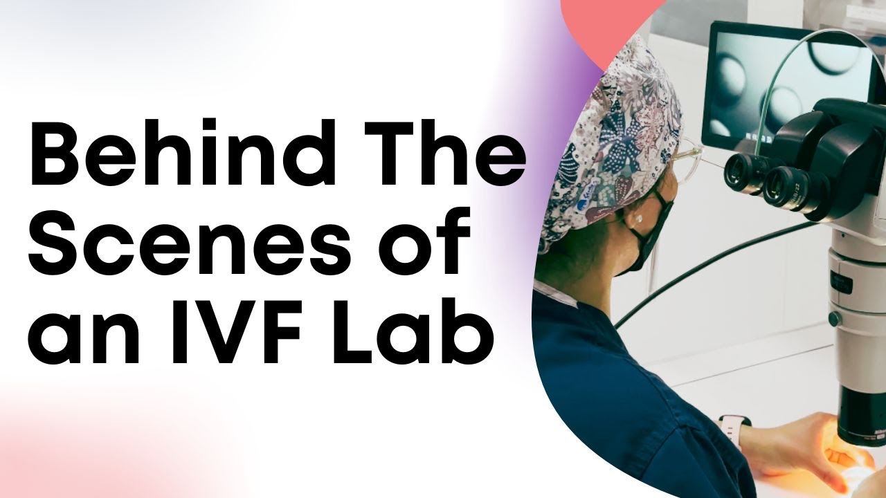 Behind The Scenes of Building An IVF Lab - Hanabusa IVF