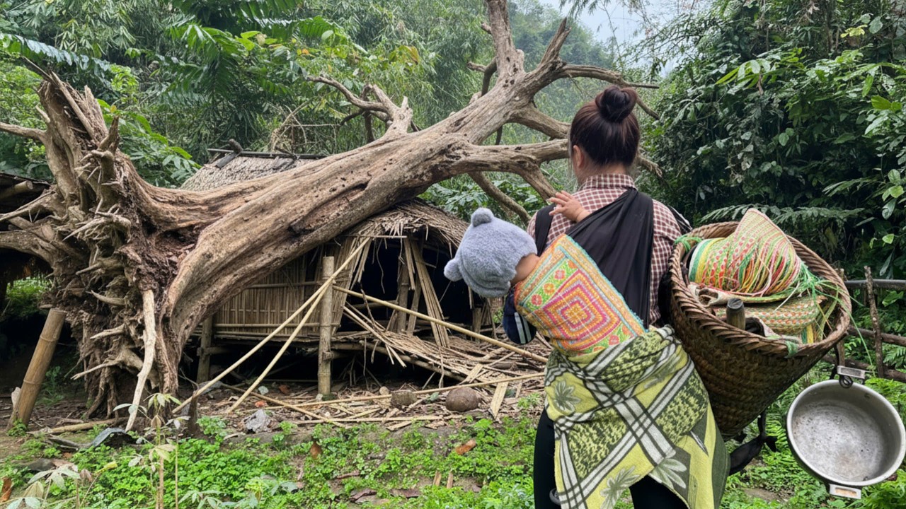 Two-Story Bamboo House Destroyed After Storm &ndash; Single Mother Rebuilds It from Ruins