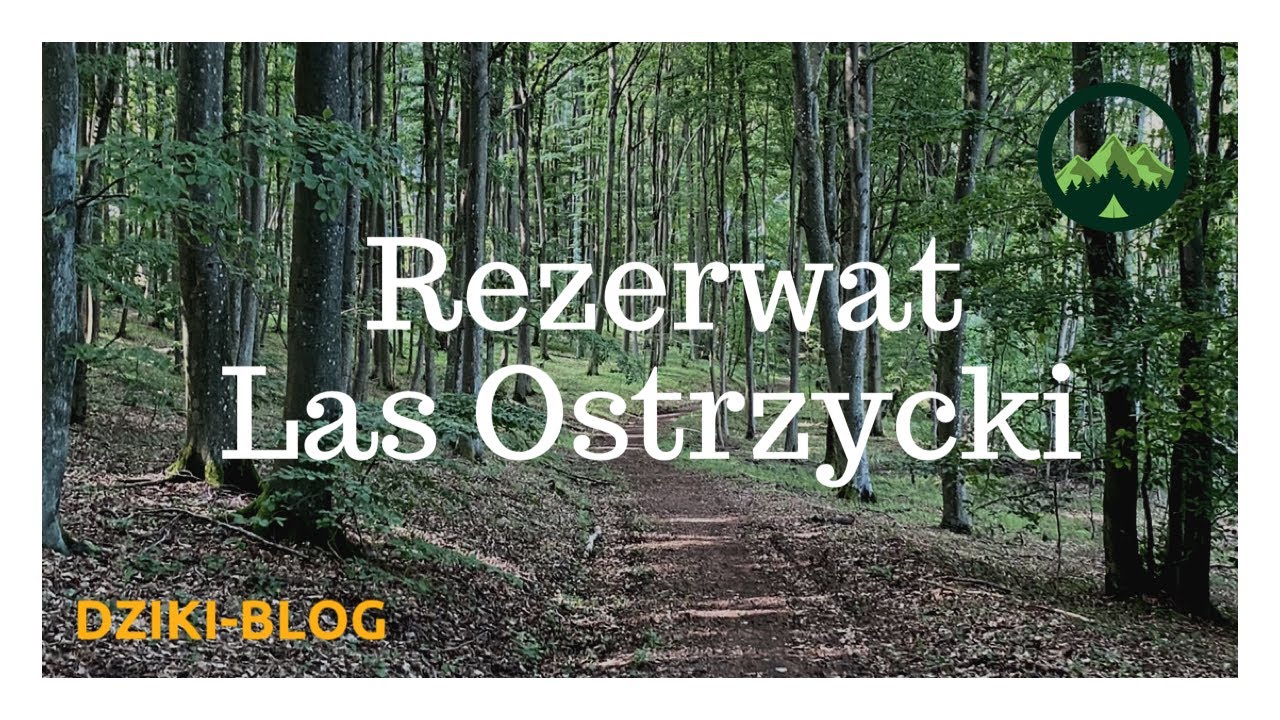 Las Ostrzycki - rezerwat