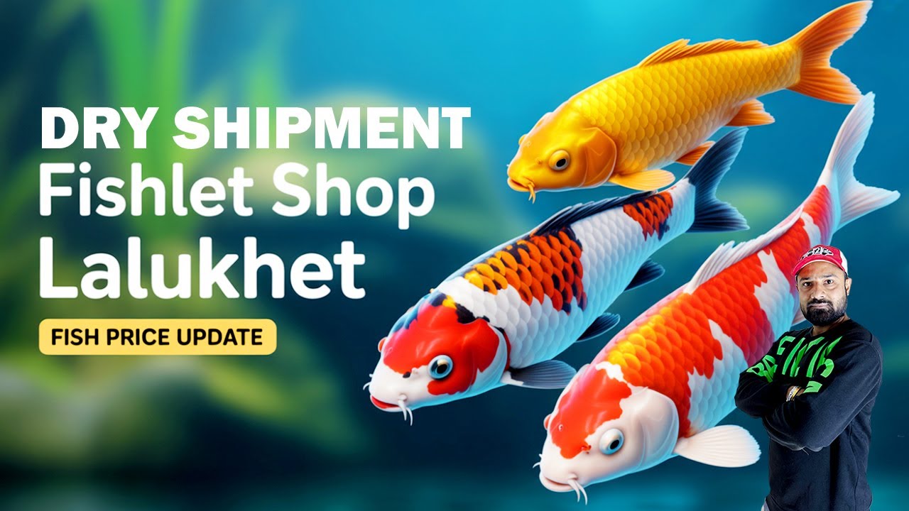 Lalukhet Aquarium Market Price Shock 2026 😱 | FISHLET Shop | Heaters, RGB Lights & Filters