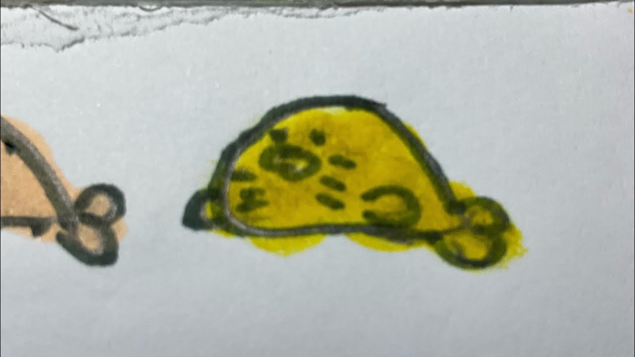 #shorts#seal#sealthailand yellow seal🦭💛