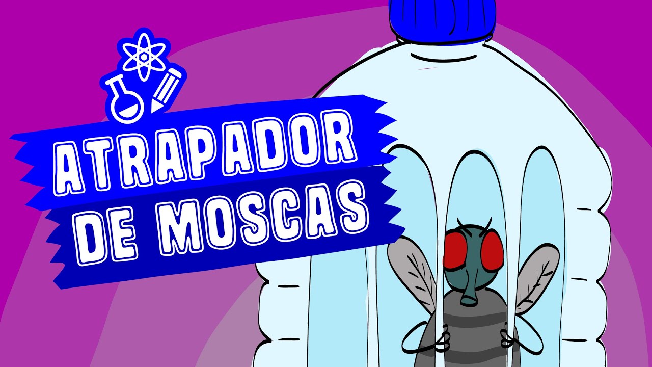 Cómo Hacer un Atrapamoscas (Experimento Casero) - Los Creadores
