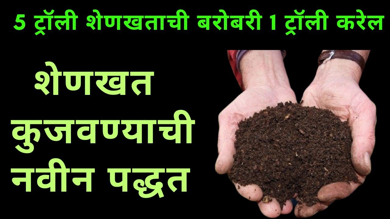 शेणखत कुजवण्याची नवीन पद्धत ll method of composting cow dung