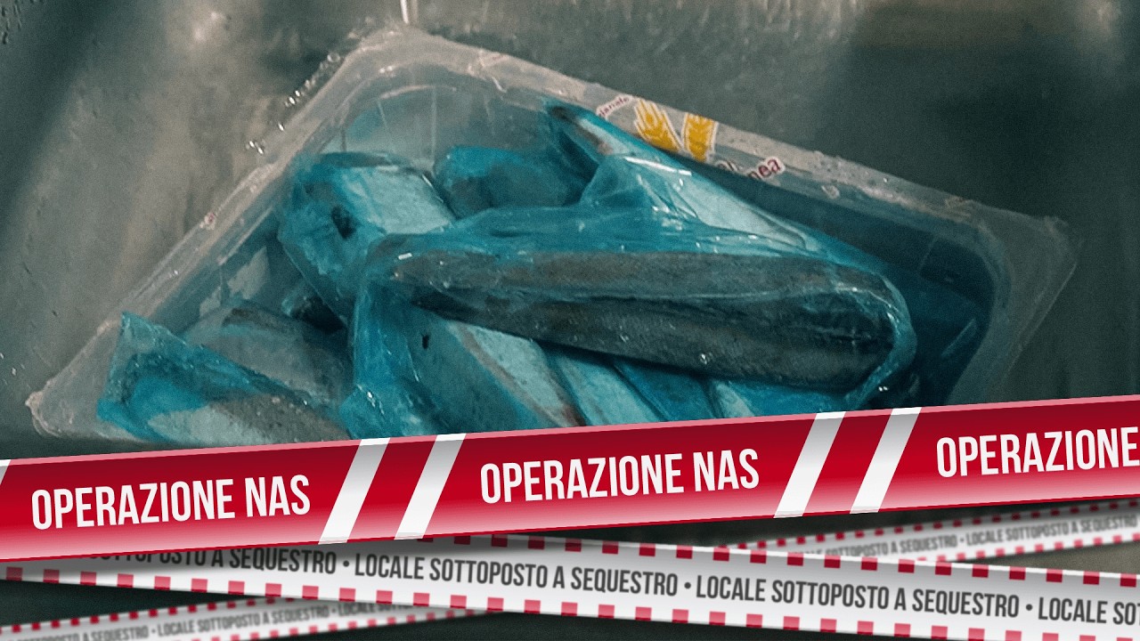 Pesce scongelato male e frigo rotto: per questa trattoria le cose si mettono male | Operazione NAS