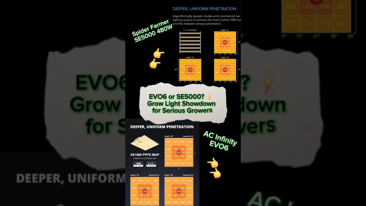 Spider Farmer SE5000 vs AC Infinity EVO6 | Best 4x4 Grow Light Showdown