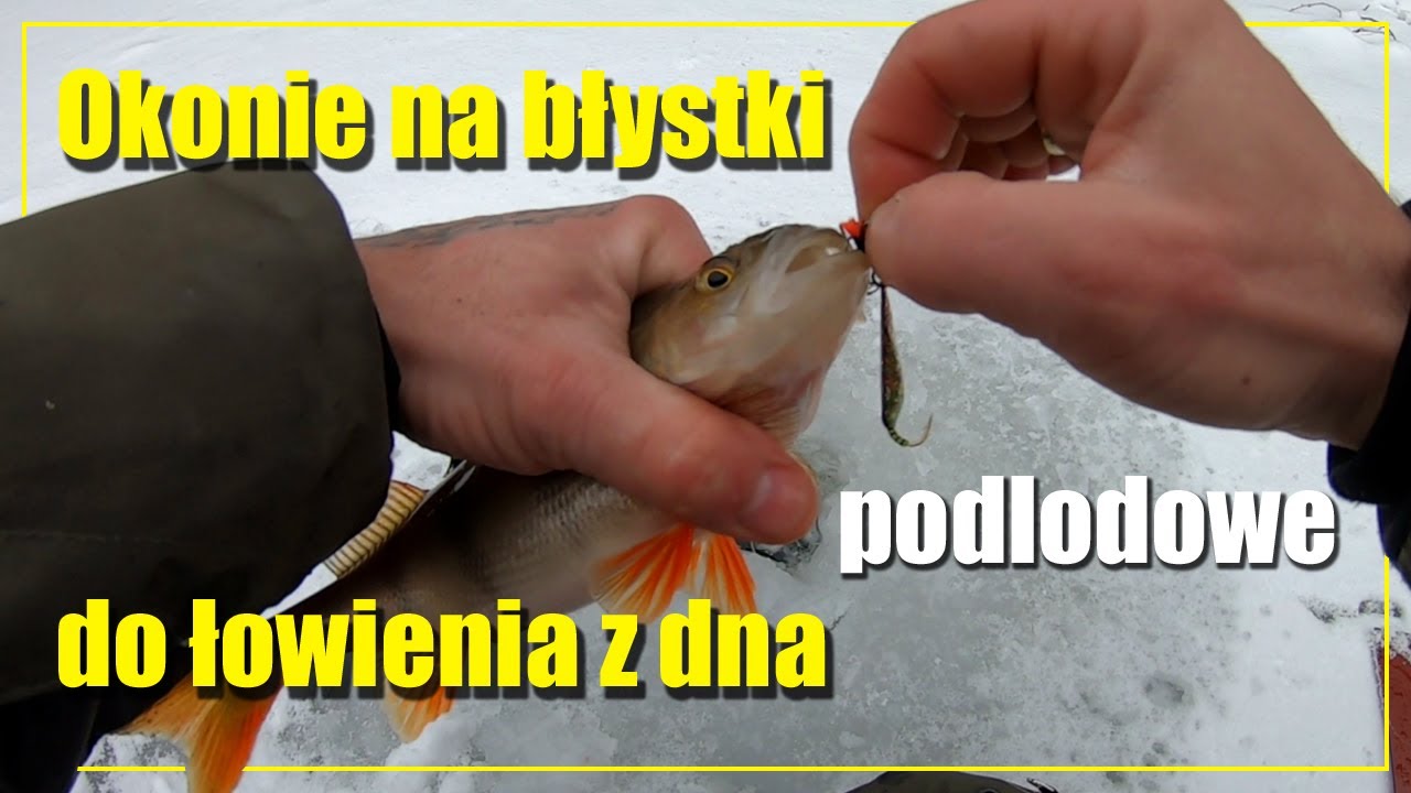 Okonie na błystki podlodowe do łowienia z dna i igiełki | Drugi wyjazd na lód w 2021