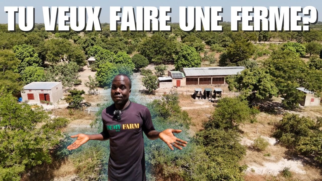 Tu Veux Établir Une Ferme, Mais Par Où Commencé?