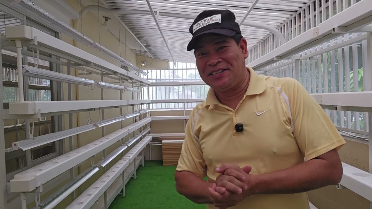 Short tour  sa Balcony  Indoor Garden ng Magsasakang Reporter 