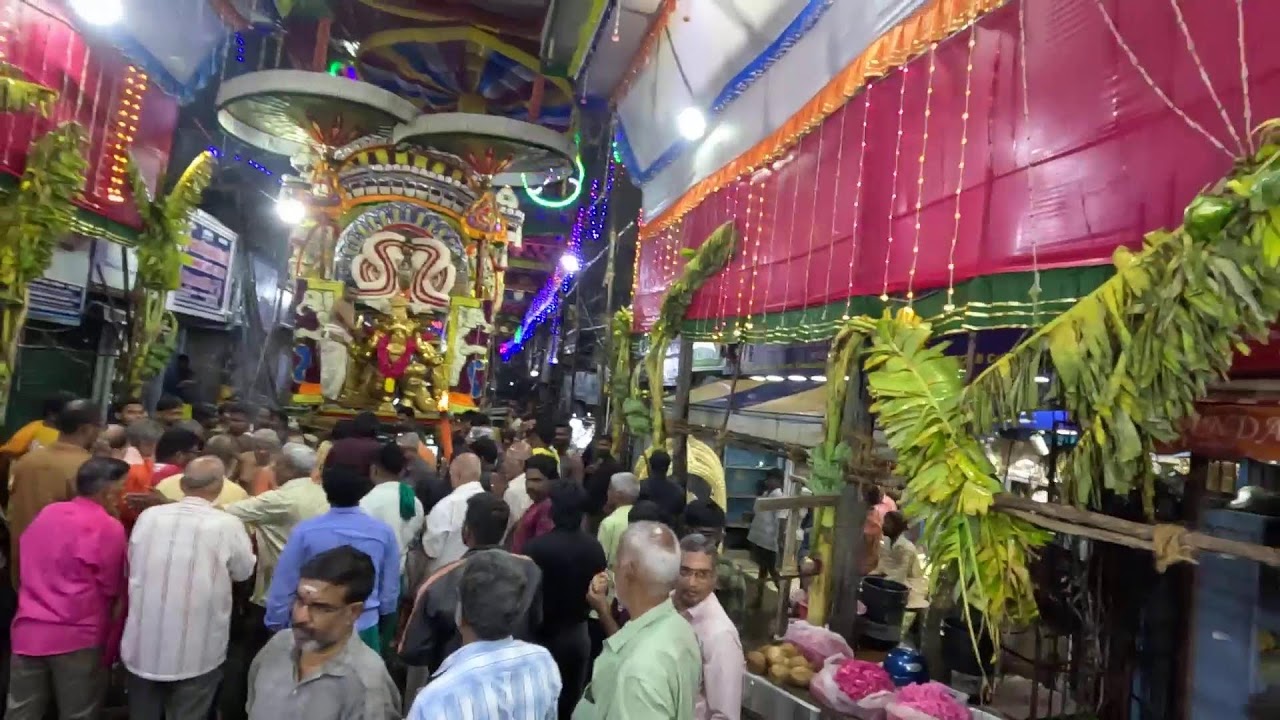 சென்னை கந்தகோட்டம் ஸ்ரீ  முத்துக்குமாரசாமி கோவில் - தை பிரம்மோற்சவம்