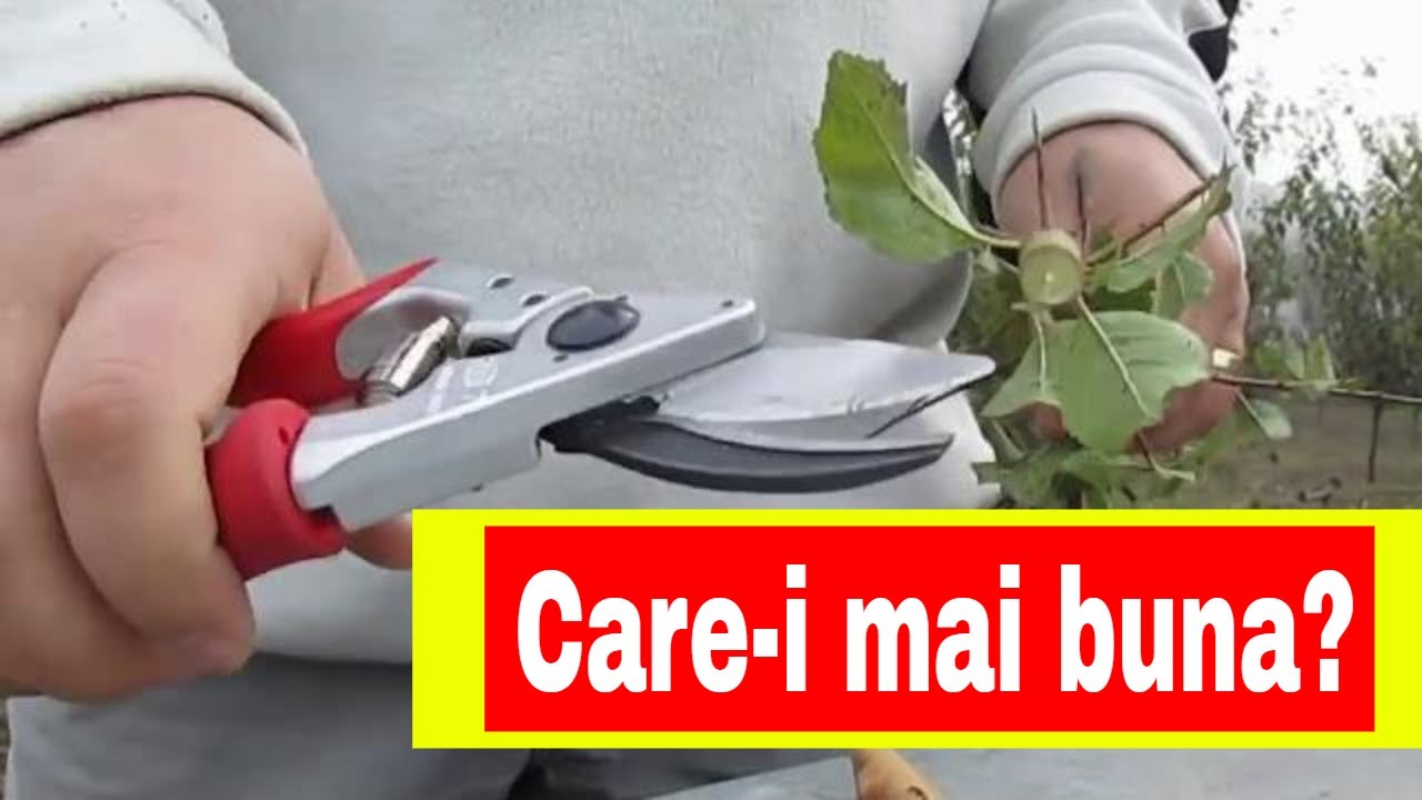 Foarfece - FELCO 7 vs Fiskars  vs Florabest vs Old Grape Russian Scissor
