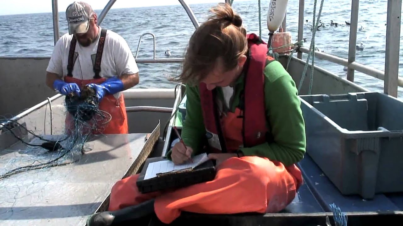 Jon Grabowski on monkfish tagging program