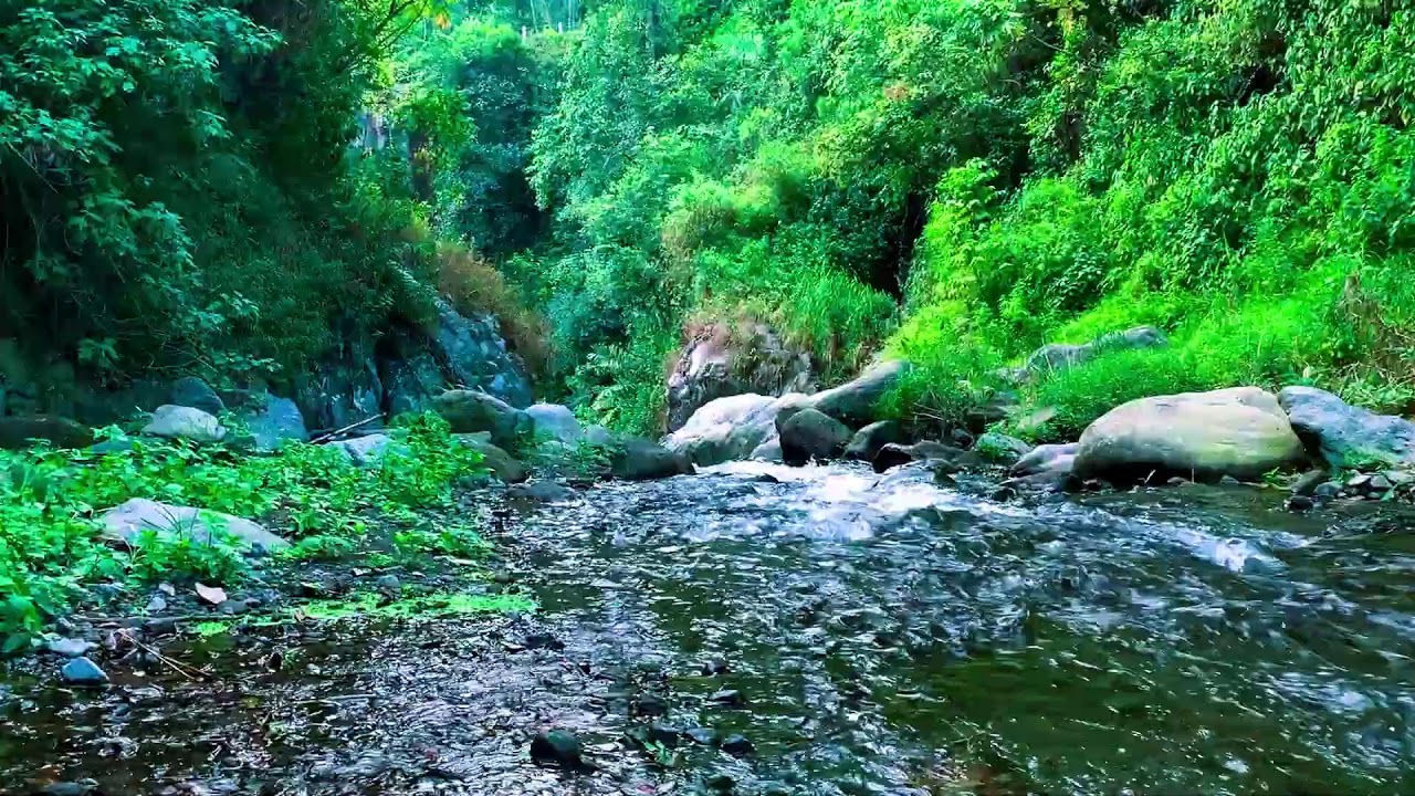 Flowing Water Vibes for Mood Boost, Cognitive Performance, Falling Asleep Fast