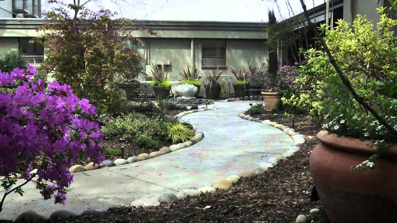 SVH Healing Garden