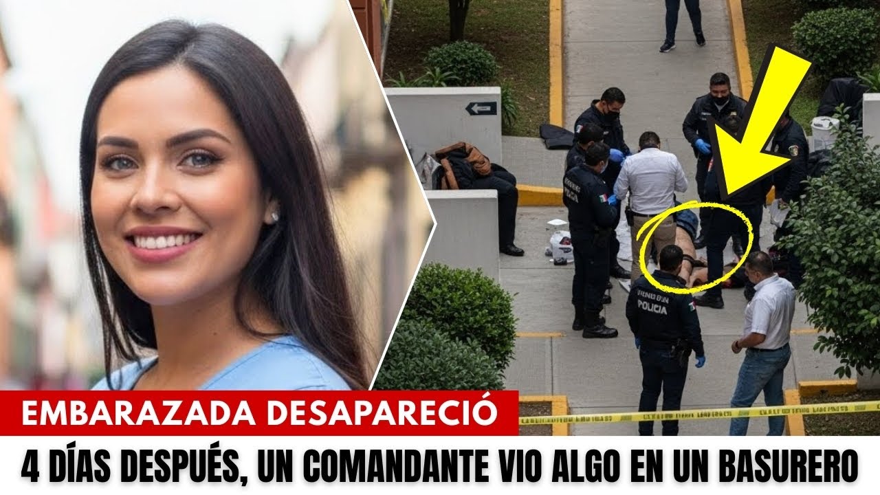 Embarazada desapareció saliendo de una clínica. 4 días después un comandante vio algo en un basurero