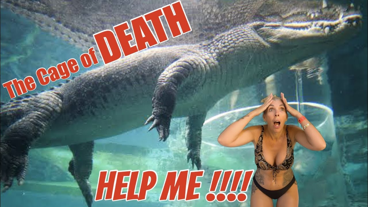 ROAD TRIP TO THE 'CAGE of DEATH'-Crocosaurus Cove-Darwin