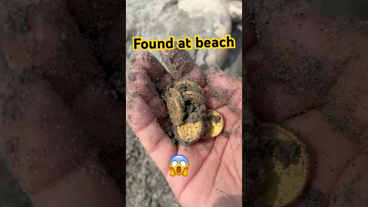 Amazing Find! Local Coins Discovered in the Ground