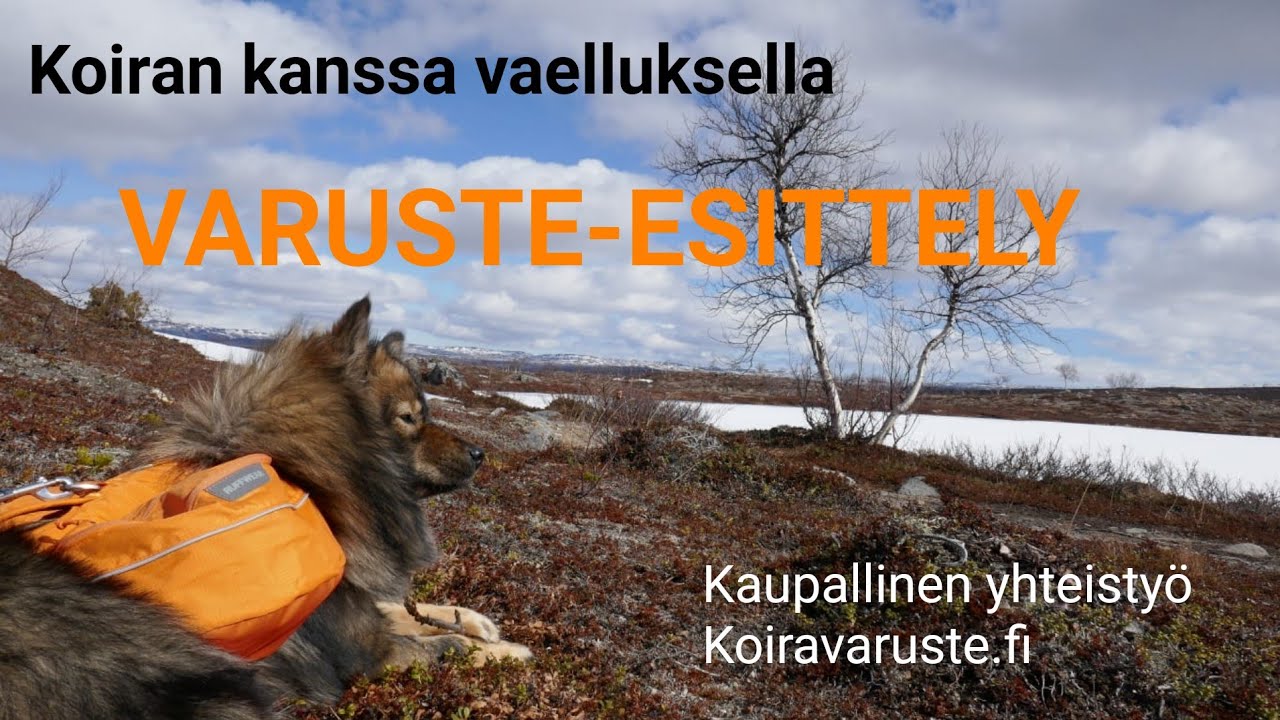 Vaellus /retkeily koiran kanssa - Varusteet