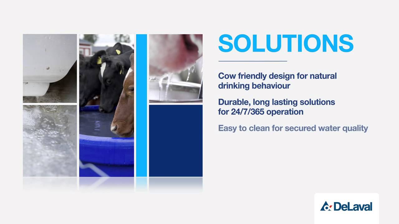 Eurotier 2012 Cow Comfort animation