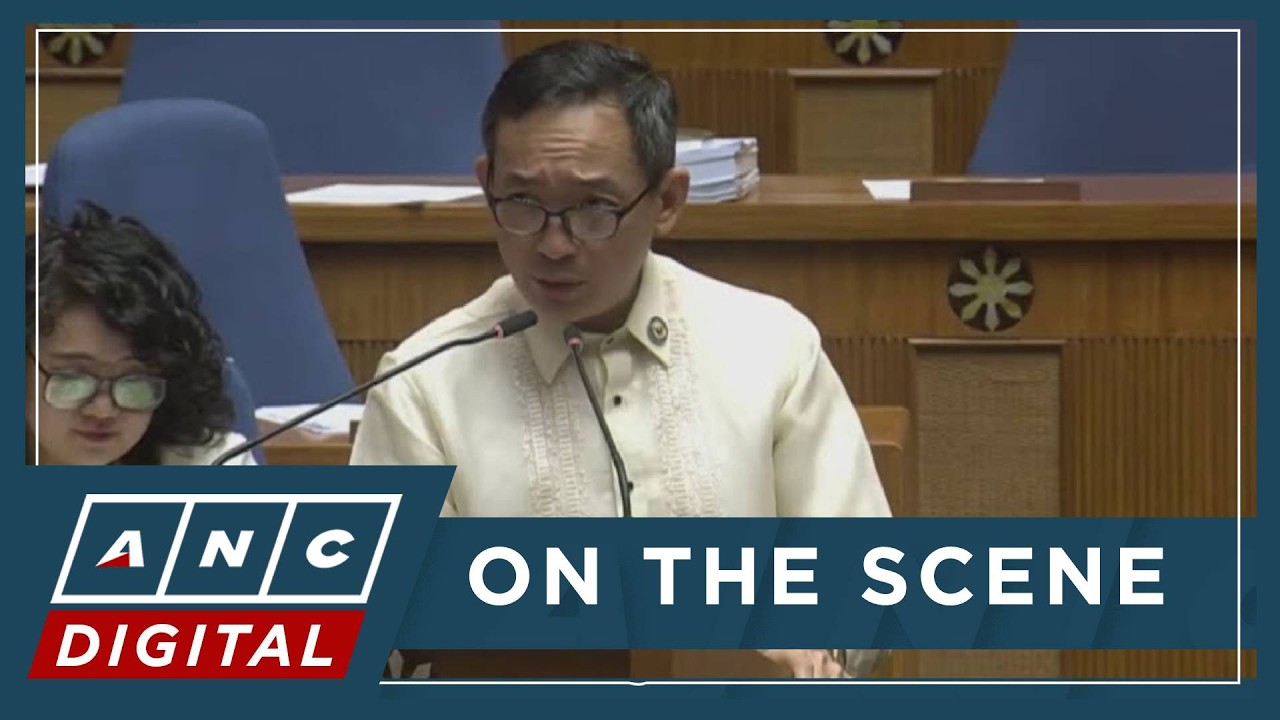 Tinio: Patayin man ang impeachment vs Marcos, mananagot ang pangulo sa taumbayan | ANC