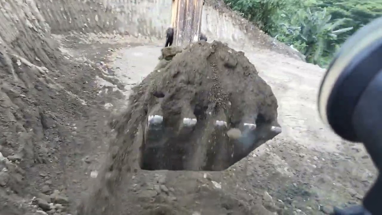 Cut down and loading #excavator #construction