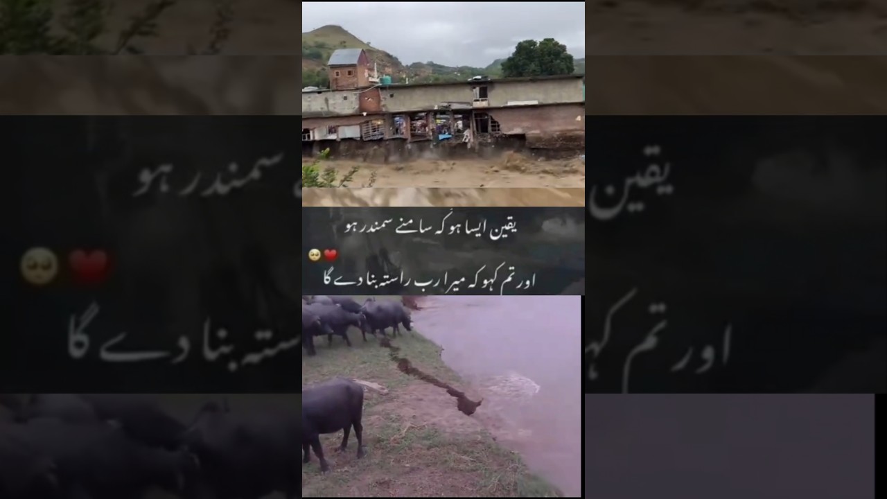 River Flood News Update |Pakistan River Flood News|