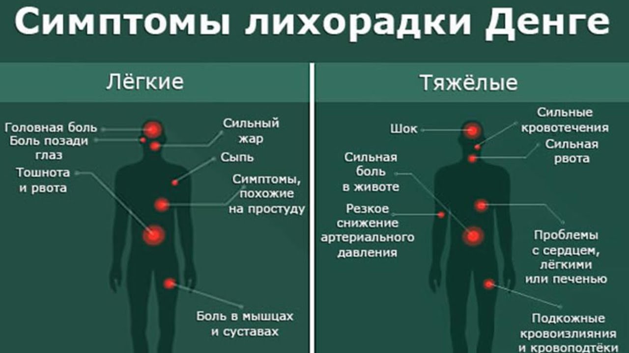 ПАНАМА/ДЕНГЕ/Что За БОЛЕЗНЬ?/СИМПТОМЫ/КАК ЛЕЧИЛАСЬ
