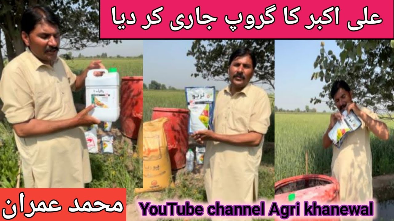 Ali Akbar ka group jari kr diya ||علی اکبر کا گروپ جاری کر دیا ||@AgriKhanewal159 