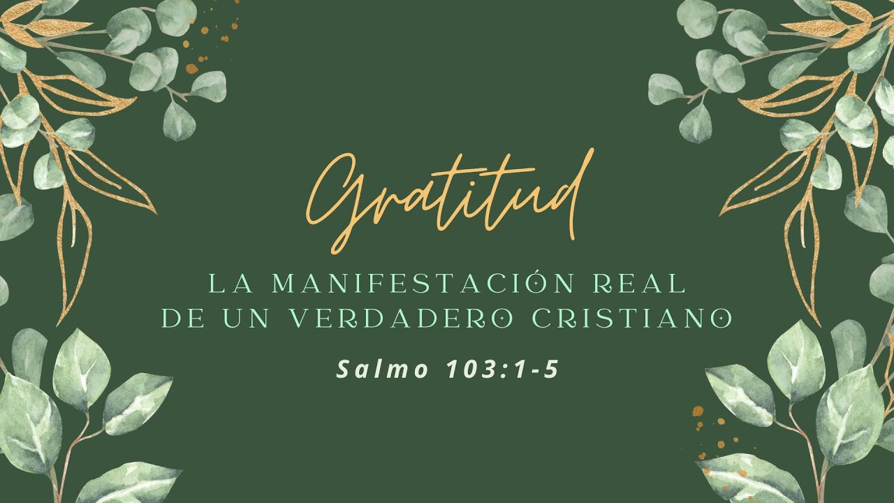 Gratitud: la manifestación real de un verdadero cristiano