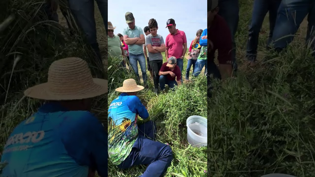 Armazenamento de água no solo.