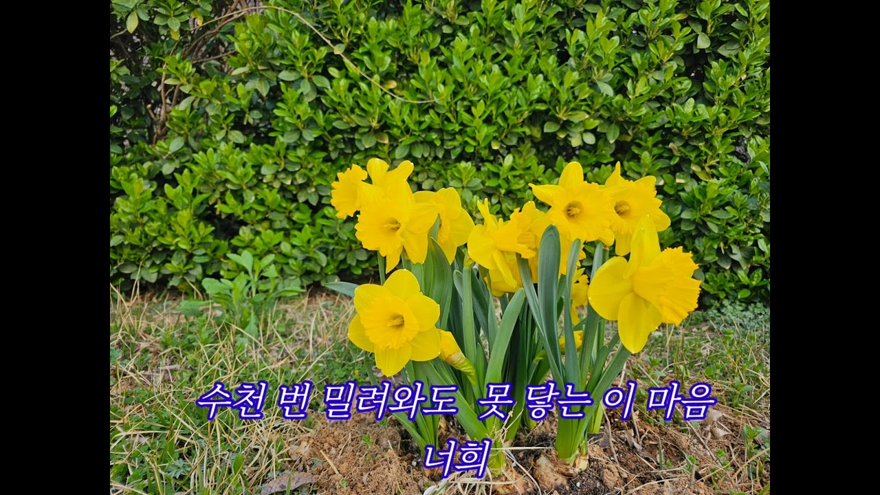 할미 할아비 바위