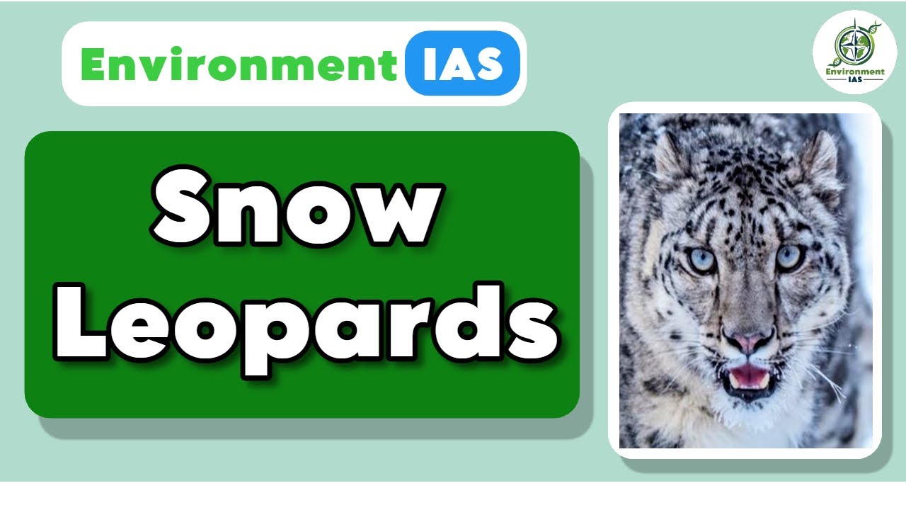 Snow Leopard, Species in News | Environment IAS