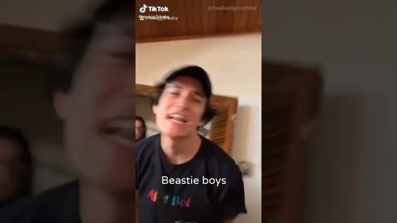 I'm BACK!!! (Beastie Boys as Clips)