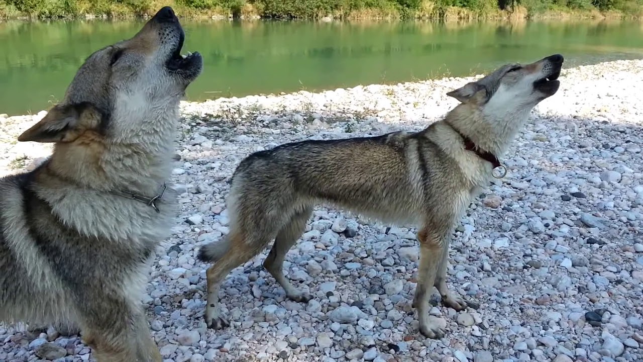 ululì Neo.....ululà Jenna