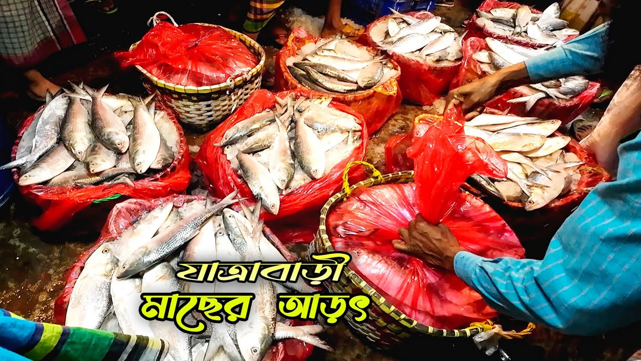 যাত্রাবাড়ী আড়তে মাছ কেনার আগে এই ভিডিওটি দেখুন🔥🐟| Jatrabari fish market 2025