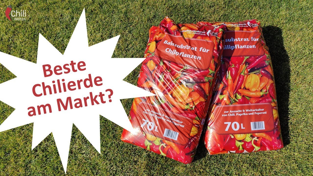 Vorstellung Floragard Chilierde